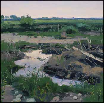 Flood Debris, Early Evening by Chris Flodberg sold for $702