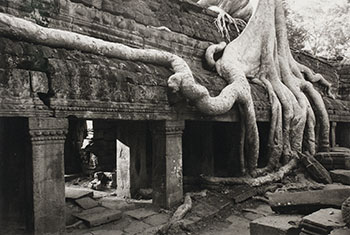 Angkor, Ta Prohm by Kenro Izu vendu pour $438