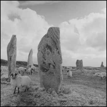 Callandish II with Sheep by Fay Godwin sold for $585