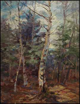 Silver Birches, Autumn by Mary Ella Williams Dignam sold for $351