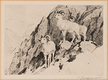 Dall Sheep by Carl Clemens Moritz Rungius sold for $3,125
