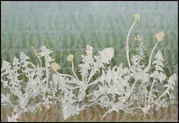 Dandelion IV (01345/2013-2404) by Anna Chou Ying Wong sold for $94
