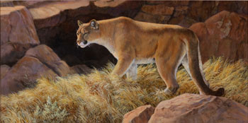 Lion of the Rockies (03227/520) by Isabel Levesque sold for $375