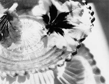 Veils (03363/35) by Carol Marino sold for $125