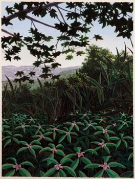 Jungle Growth (03679/148) by David Denyse sold for $295