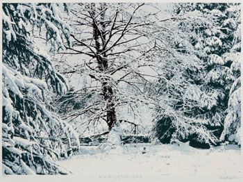 In the Grey of Winter, Queen Charlotte Islands (03628/170) by Ian Martin sold for $125