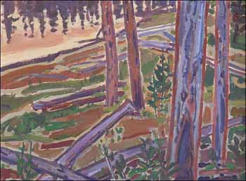 Tree Reflections (02818/2013-3071) by William (Bill) Duma sold for $648