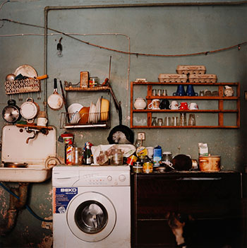 Kitchen with Dog, St. Petersburg by Olga Chagout-Dinova sold for $375