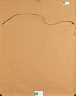 Le drapeau inconnu (rose) (7)