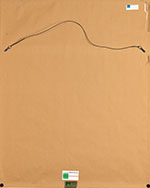 Le drapeau inconnu (bleu) (7)
