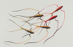 Untitled (6)