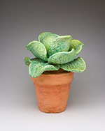 Cabbage in Pot (7)