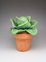 Cabbage in Pot (8)