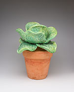 Cabbage in Pot (9)