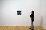 Untitled Crowd Scene (8)
