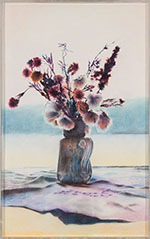 Arctic Cotton, Everlastings and Snow (8)