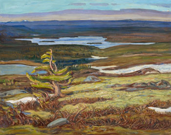 Summer Landscape, Labrador par Alexander Young (A.Y.) Jackson