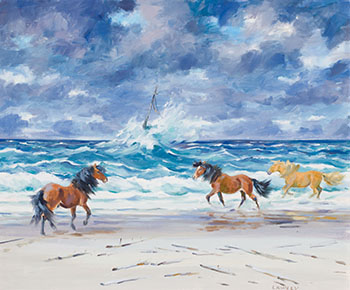 Sable Island par John Douglas Lawley