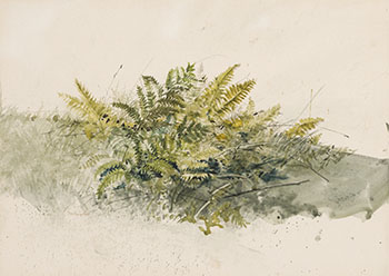 Fern par Thomas de Vany Forrestall