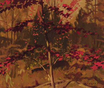 Autumn Woods, Haliburton by Charles Fraser Comfort
