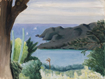 The Leeward Coast, St. Vincent by John Goodwin Lyman