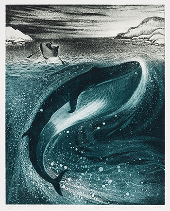 Young Whale in Greenspond Tickle par David Lloyd Blackwood