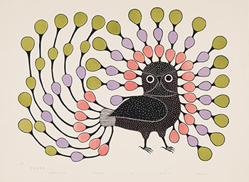 Illustrious Owl by Kenojuak Ashevak