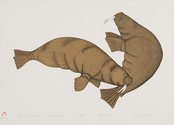 Young Walrus par Kananginak Pootoogook