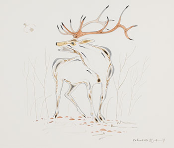 Caribou by Eddy Cobiness