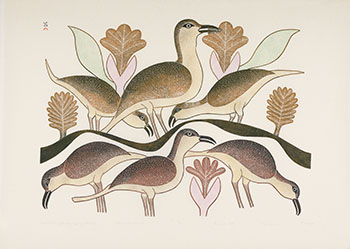 Birds Feeding Among Spring Flowers par Kenojuak Ashevak