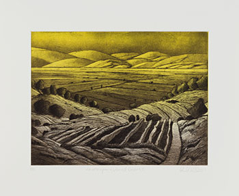 Landscape in Varied Colours I by Ross Penhall
