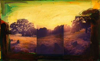 Diablo Memory / Black Oak, Sunset par David Bierk