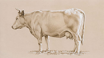 Cow par Daniel Price Erichsen Brown