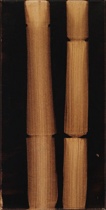 Big Jim (Bamboo Painting) by Attila Richard Lukacs