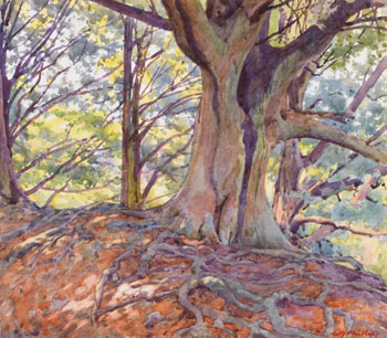 The Beech Wood par Walter Joseph (W.J.) Phillips