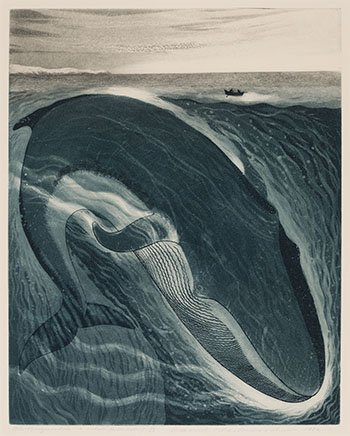 Burgeo Whale: A Whale for the Killing par David Lloyd Blackwood