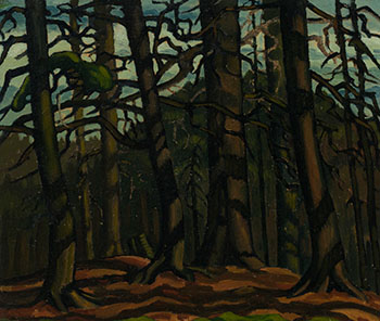 Dark Cedars par Carl Fellman Schaefer