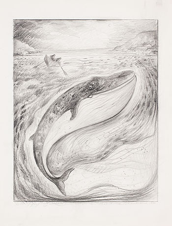 Study for Young Whale in Greenspond Tickle par David Lloyd Blackwood