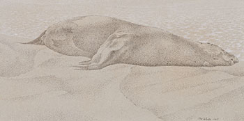 Dead Seal par Alexander Colville