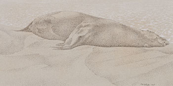 Dead Seal by Alexander Colville