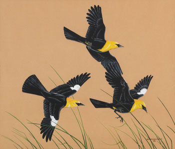 Three Birds by James Fenwick Lansdowne