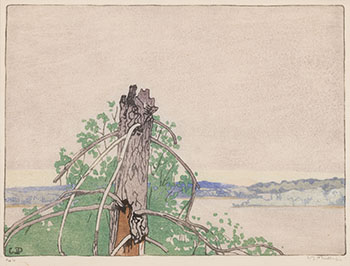 Stump, Lake of the Woods par Walter Joseph (W.J.) Phillips