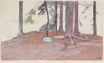 Rain, Lake of the Woods par Walter Joseph (W.J.) Phillips