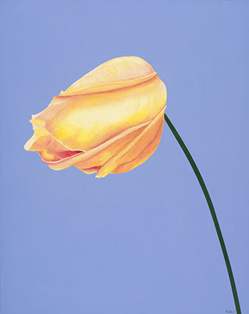 Rose by Charles Pachter