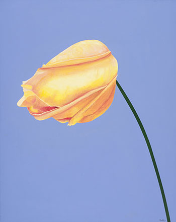 Rose par Charles Pachter