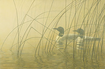 Loons in Morning Mist by Robert Bateman