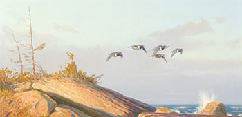 Blue Bills at the Bad River by Dwayne Harty