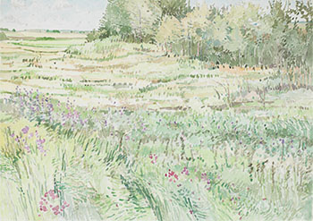 Landscape by Darrell Bell