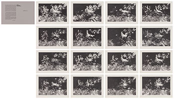 Night Garden Transformations by Jack Leonard Shadbolt