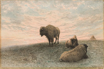 Buffaloes at Sunset by Frederick Arthur Verner